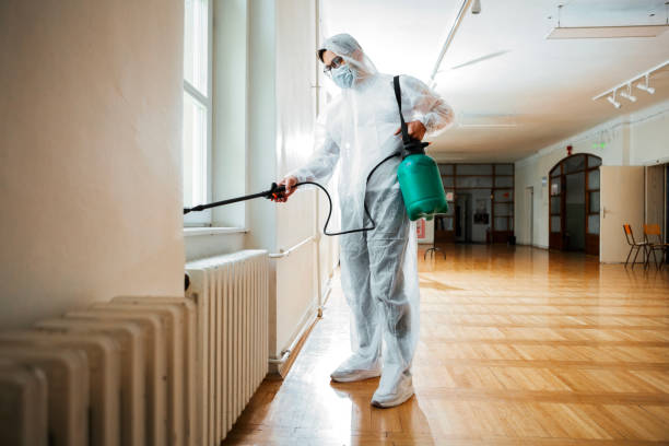 Best Real Estate Pest Inspections  in Bellevue, IL